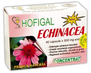 Echinaceea