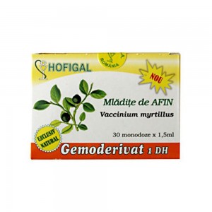 Mlădițe de afin