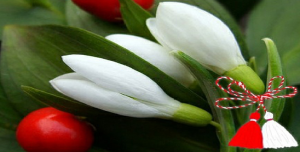 Mărțișorul și ghioceii, duoă simboluri ale primăverii!